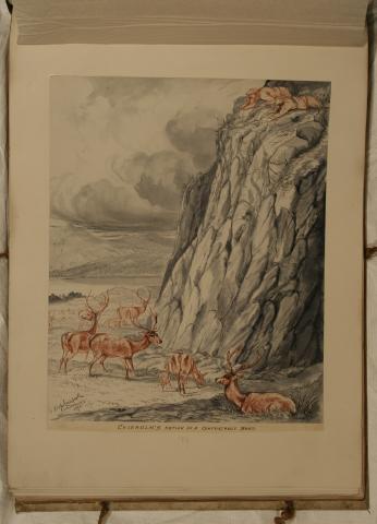 Record Image
